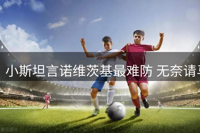 小斯坦言诺维茨基最难防 无奈请马里昂担此重任