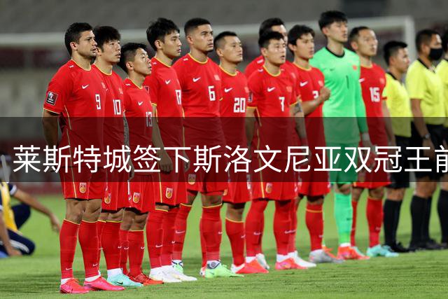 莱斯特城签下斯洛文尼亚双冠王前锋布利斯特里奇